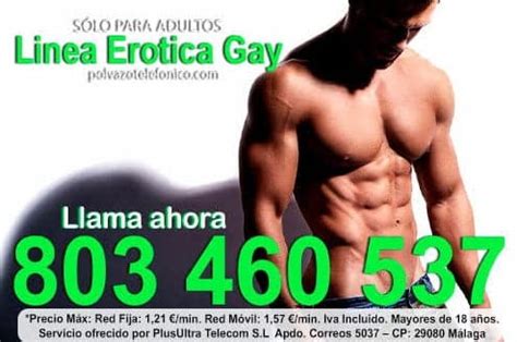 paja gay telefono|Chat Gay de Mexico